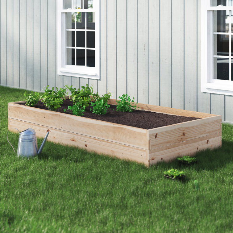 Gracie Oaks Buckingham 6 ft x 3 ft Wood Raised Garden Bed & Reviews Wayfair